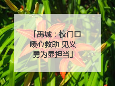 禹城：校门口暖心救助 见义勇为显担当